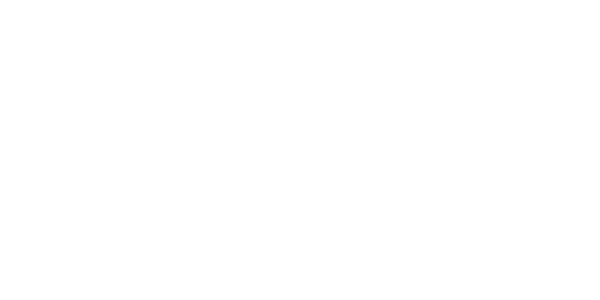 vytautas magnus university