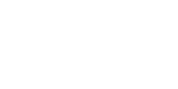 world cybercurrency logo